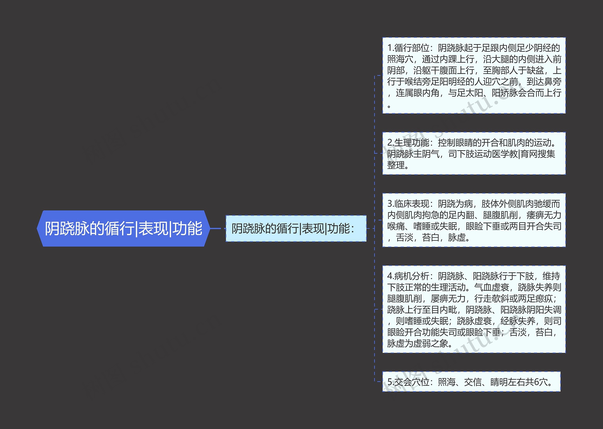 阴跷脉的循行|表现|功能