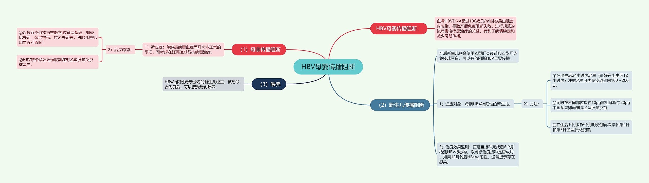 HBV母婴传播阻断思维导图