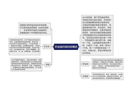 牙齿组织结构有哪些