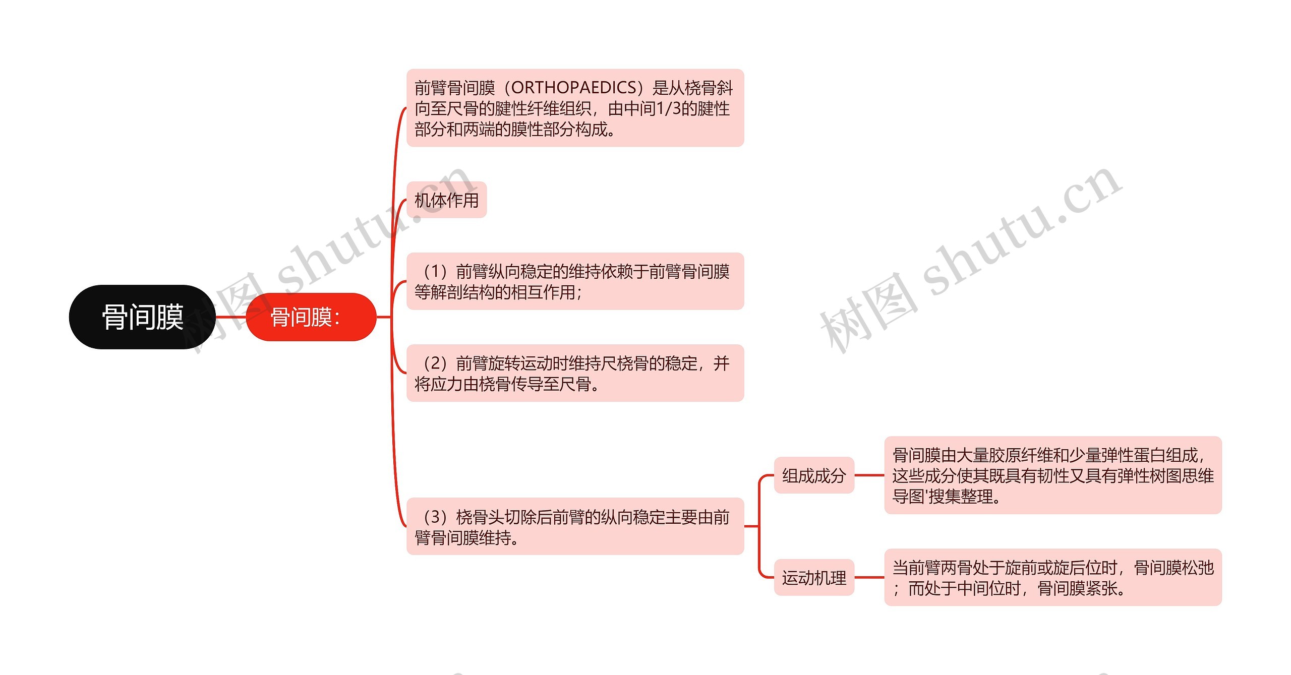 骨间膜思维导图