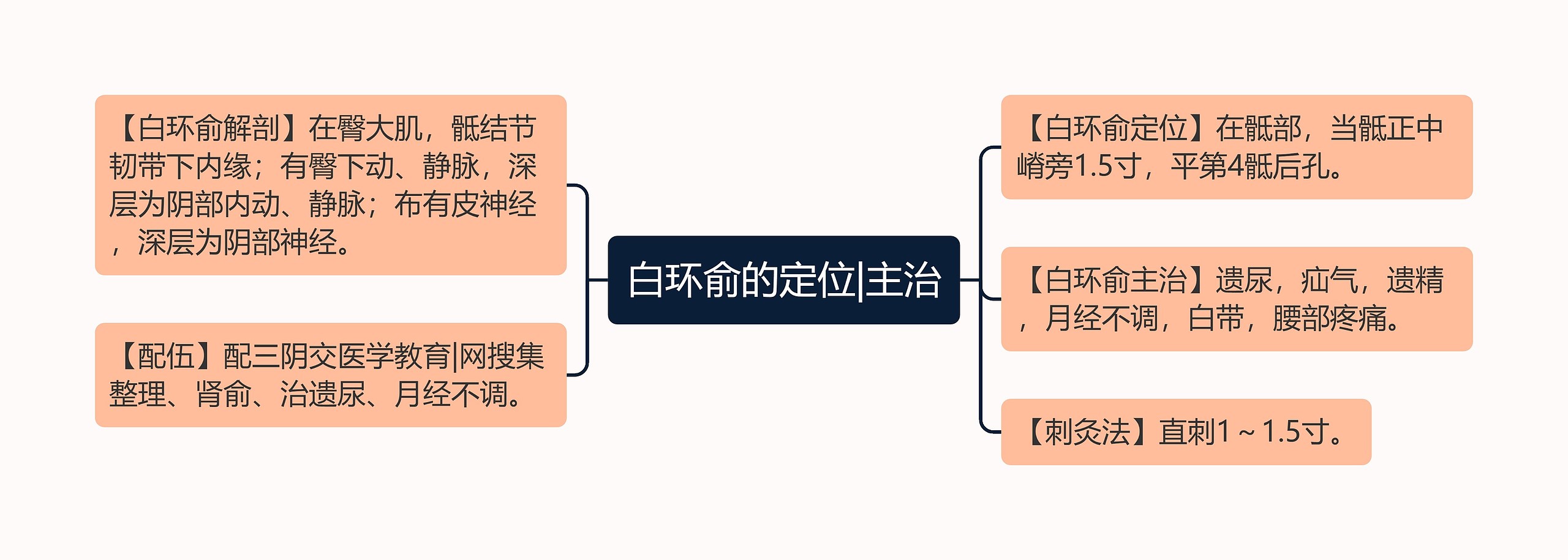 白环俞的定位|主治思维导图