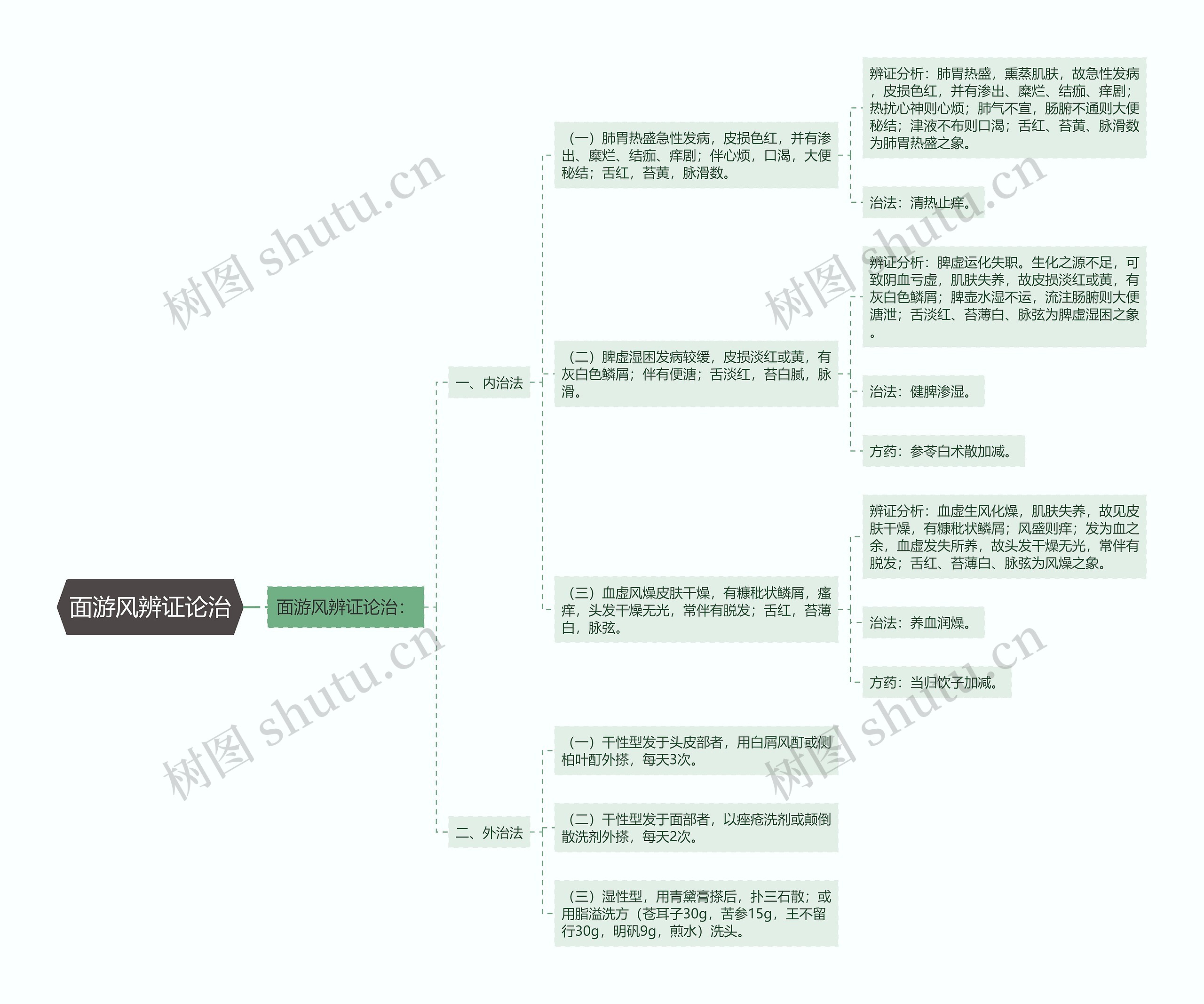 面游风辨证论治