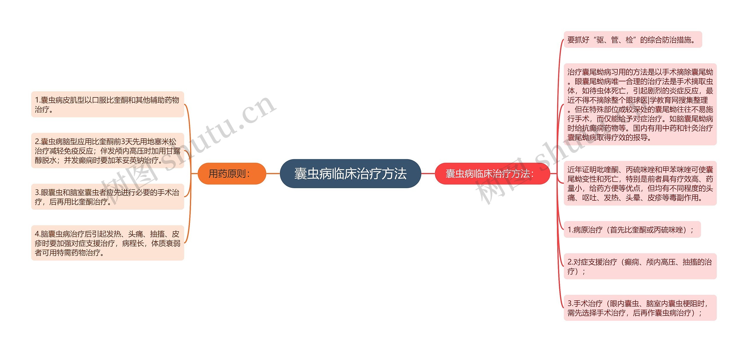 囊虫病临床治疗方法思维导图