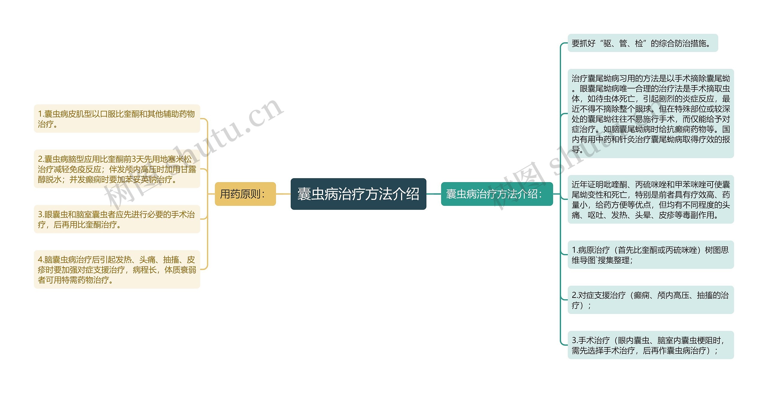 囊虫病治疗方法介绍 囊虫病治疗方法介绍