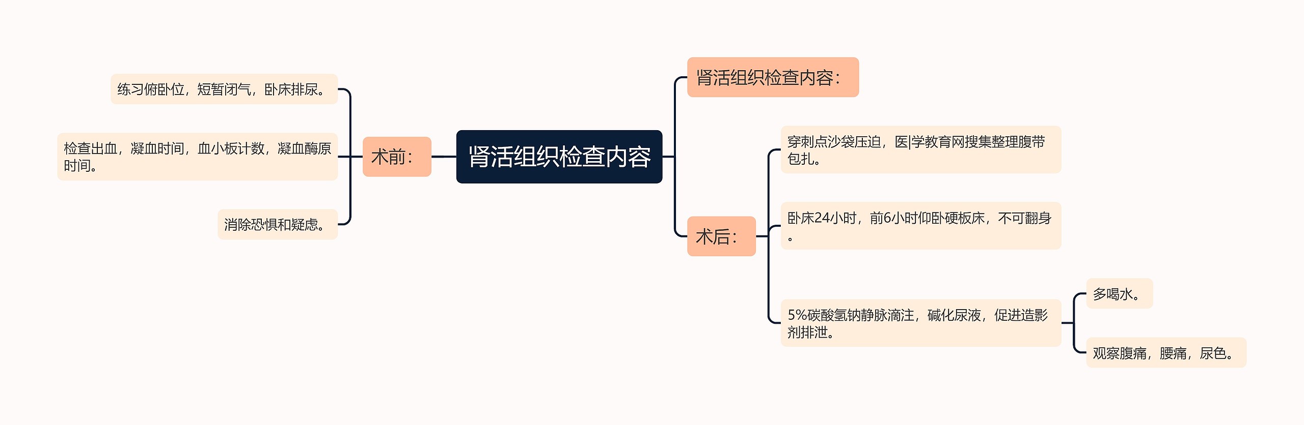 肾活组织检查内容