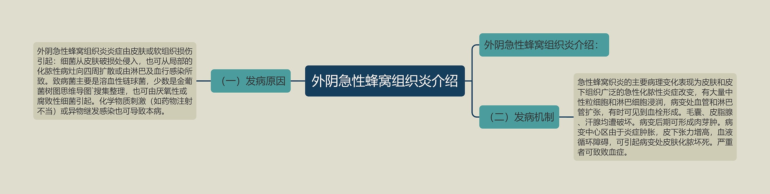 外阴急性蜂窝组织炎介绍思维导图