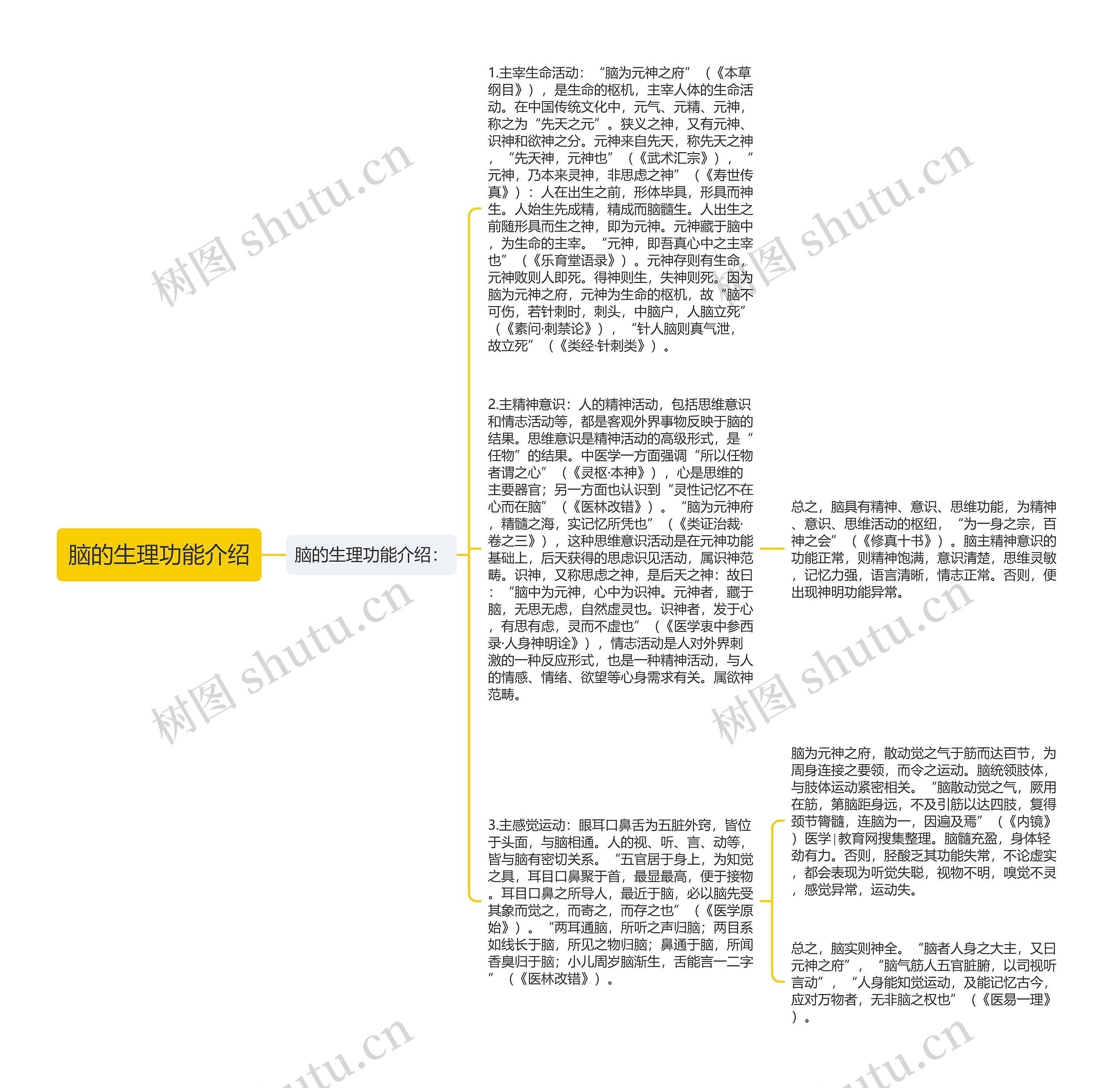 脑的生理功能介绍思维导图