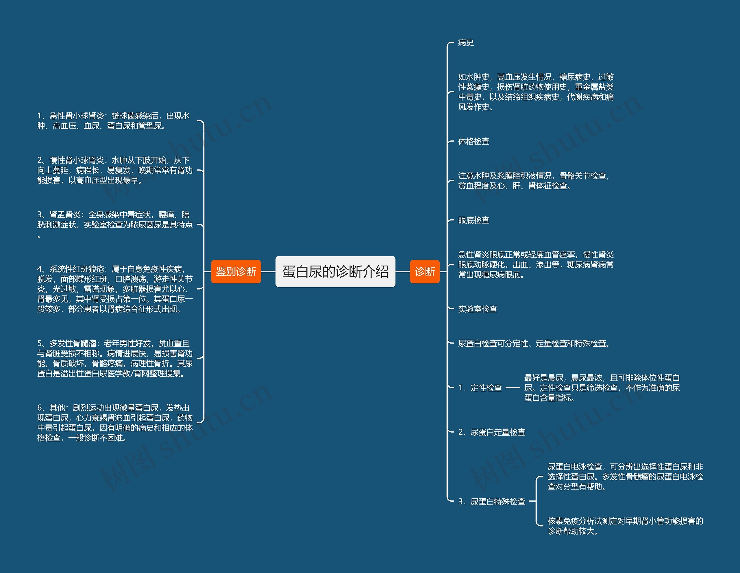 蛋白尿的诊断介绍思维导图