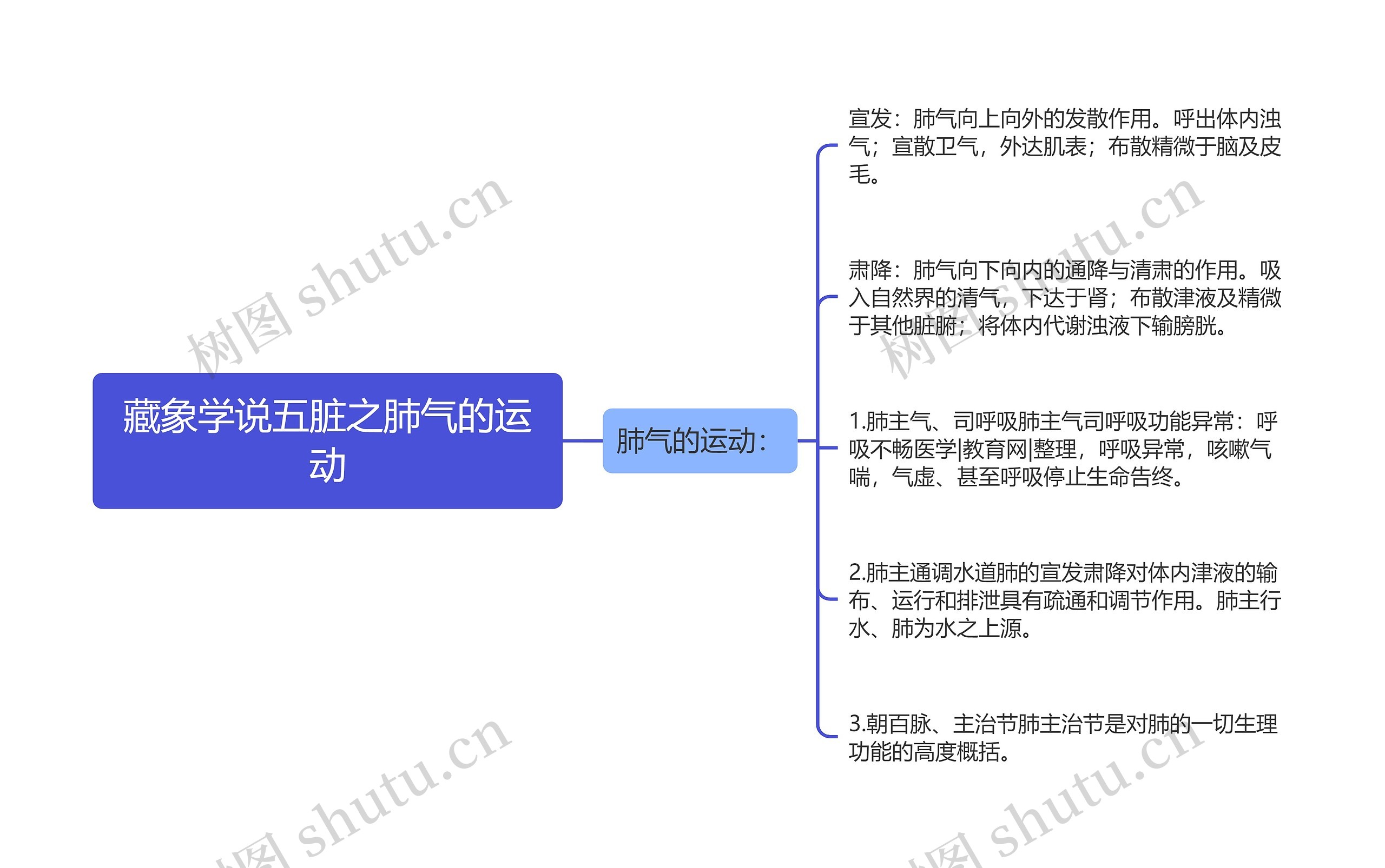 藏象学说五脏之肺气的运动思维导图