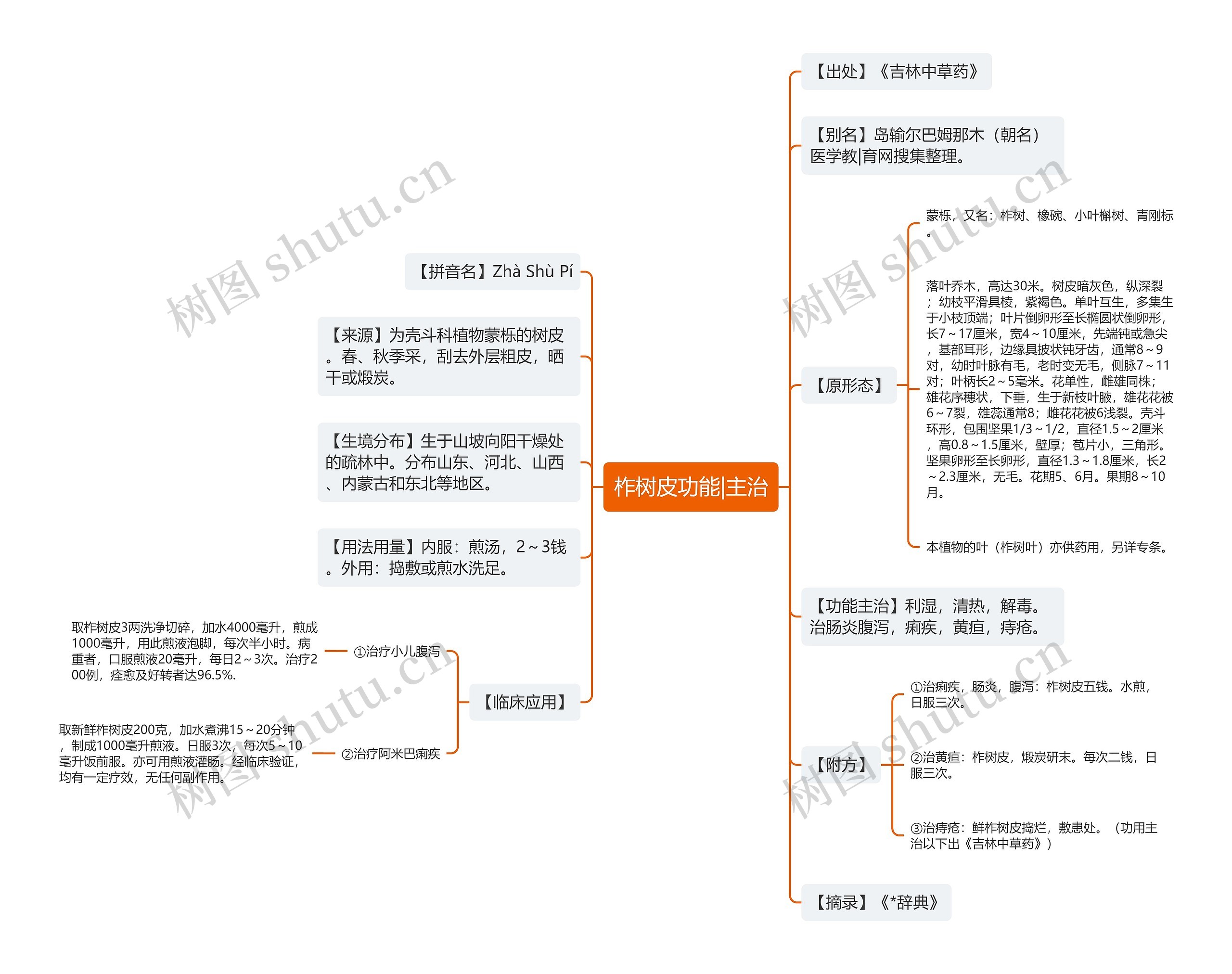 柞树皮功能|主治思维导图