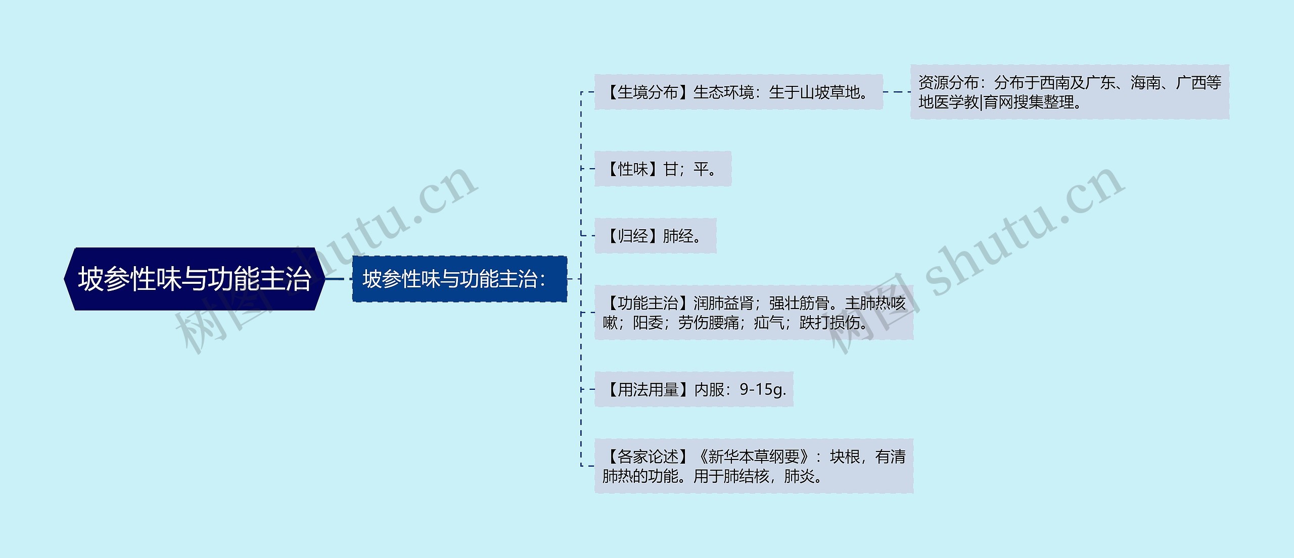 坡参性味与功能主治思维导图