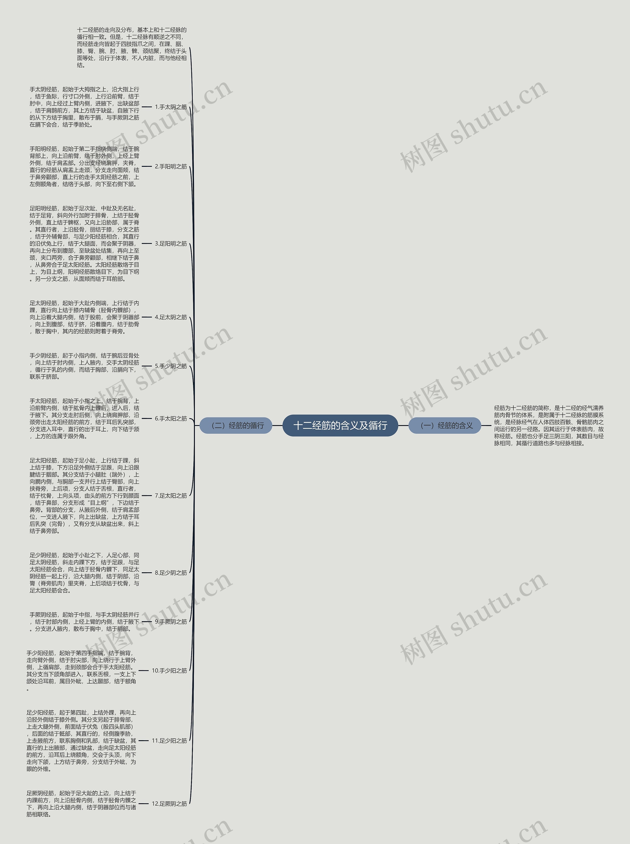 十二经筋的含义及循行 十二经筋的含义及循行