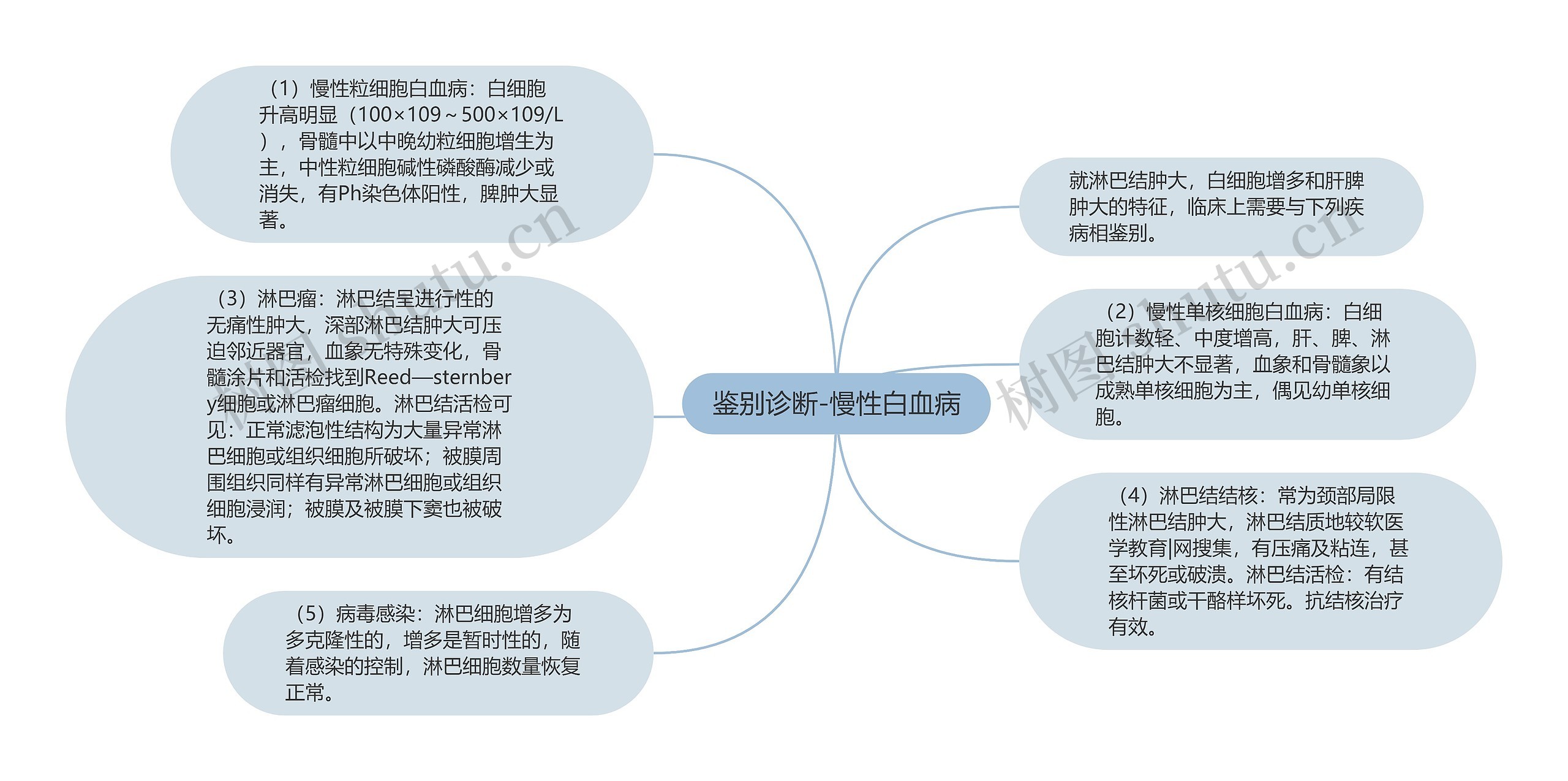 鉴别诊断-慢性白血病思维导图