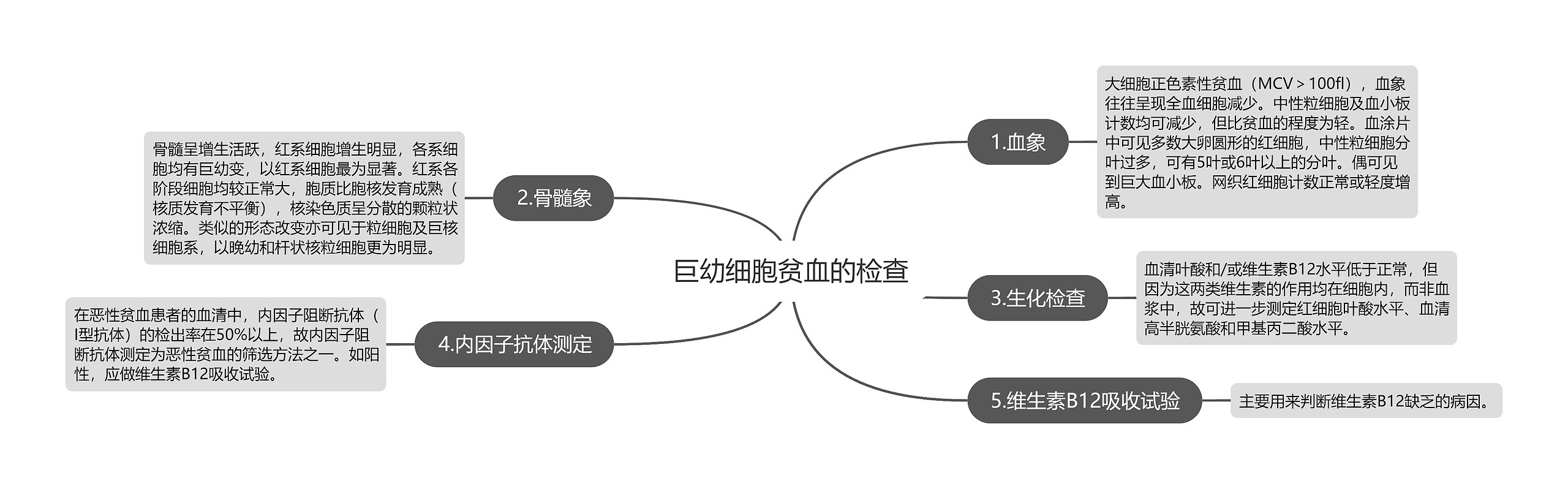 巨幼细胞贫血的检查思维导图