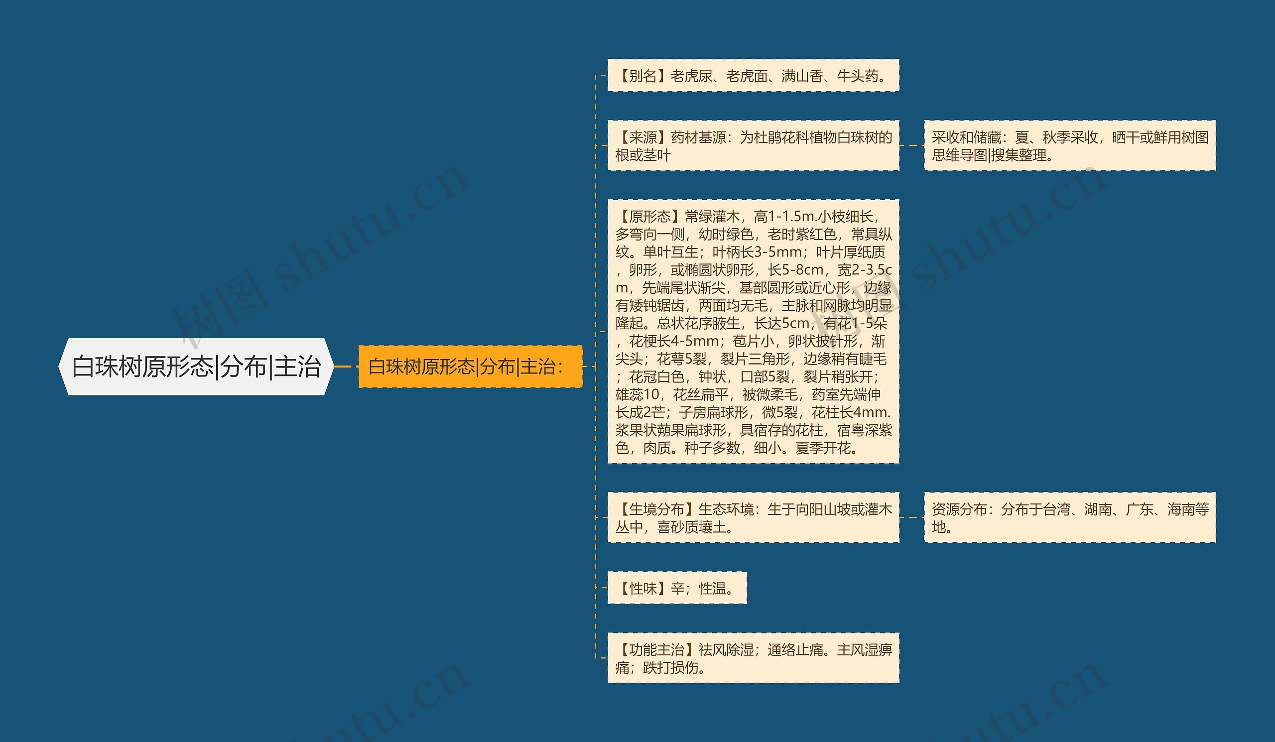 白珠树原形态|分布|主治思维导图