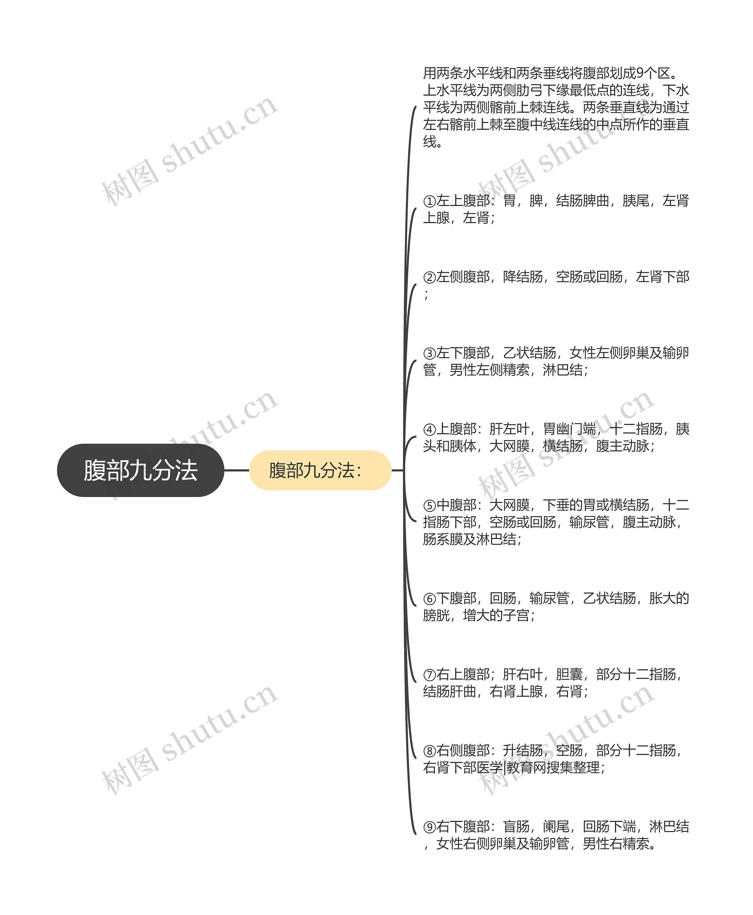 腹部九分法思维导图