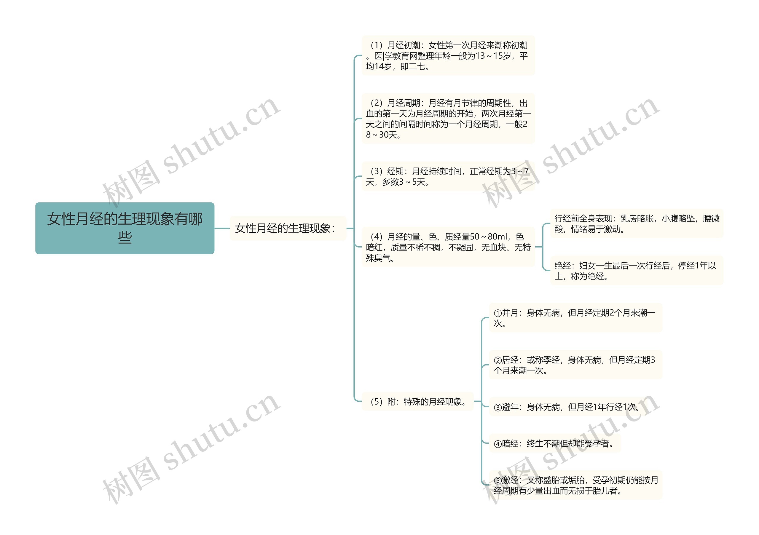 女性月经的生理现象有哪些思维导图