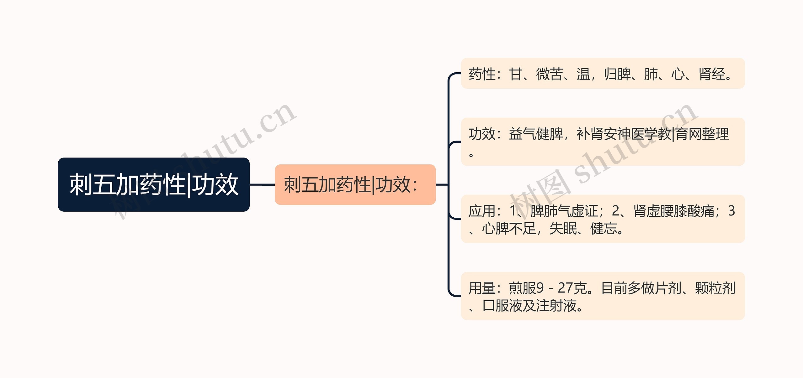 刺五加药性|功效思维导图