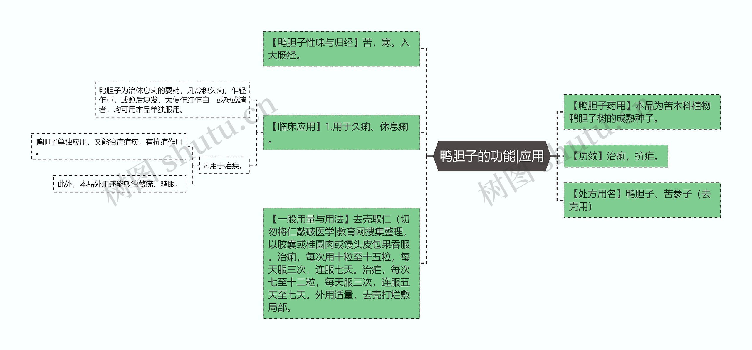 鸭胆子的功能|应用思维导图