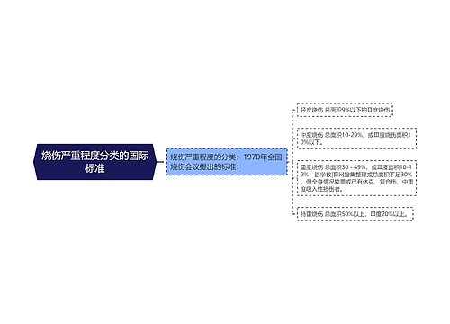 烧伤严重程度分类的国际标准