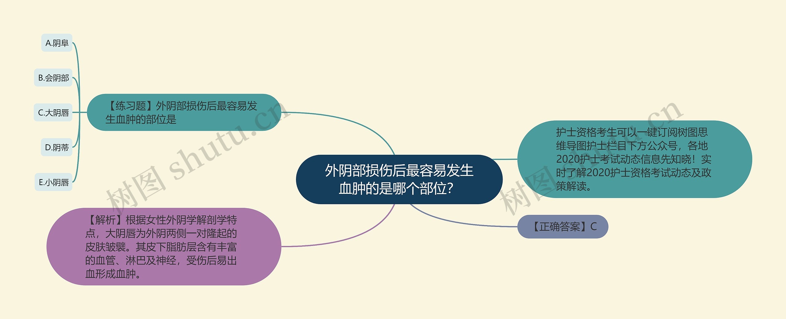 外阴部损伤后最容易发生血肿的是哪个部位？思维导图