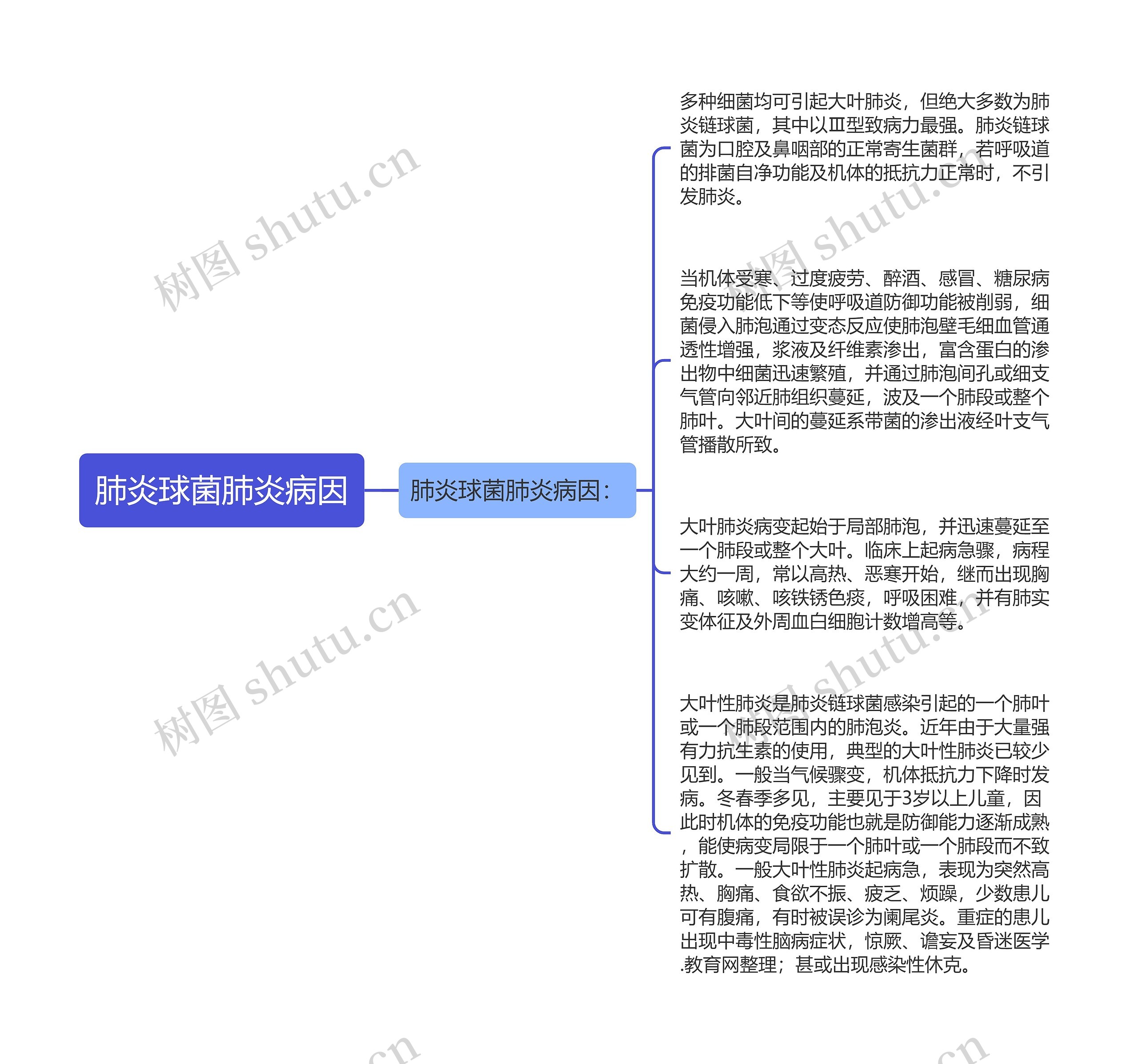 肺炎球菌肺炎病因思维导图