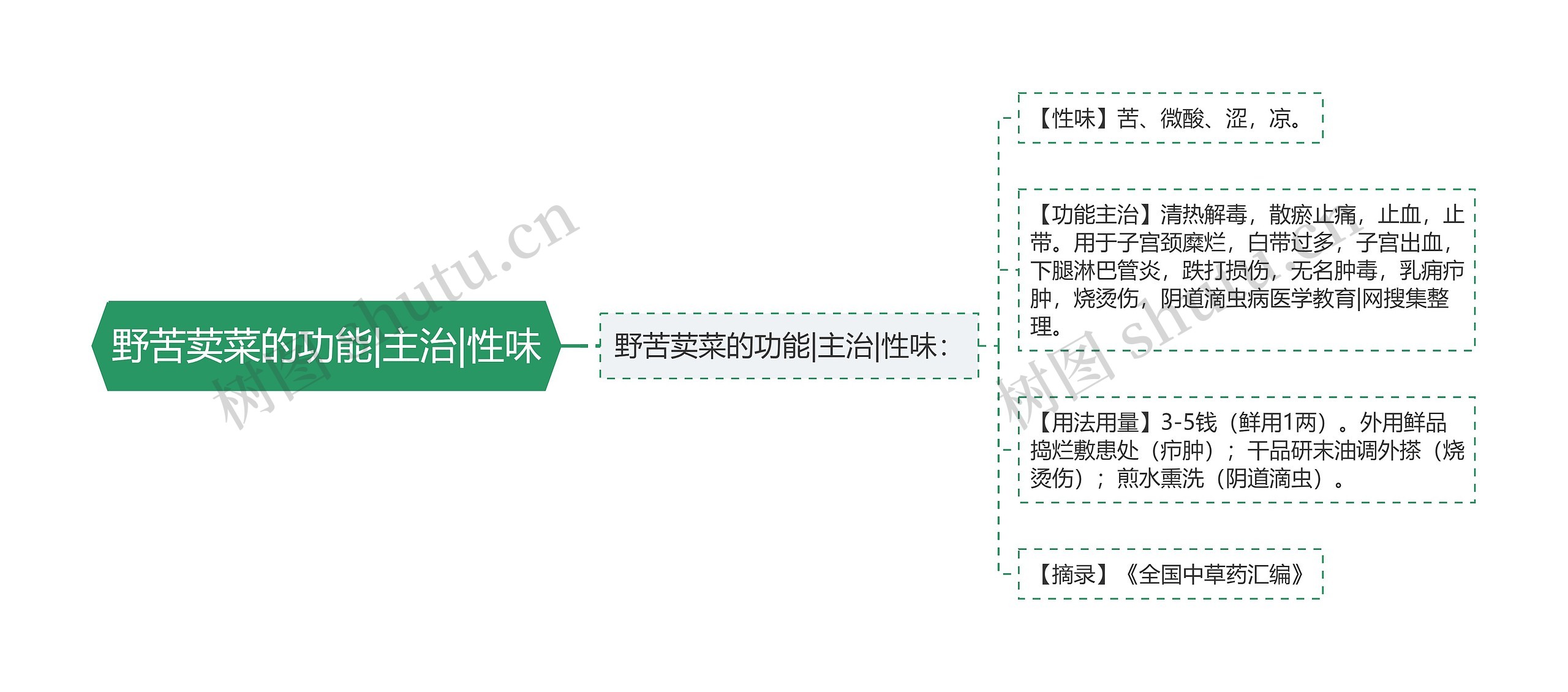 野苦荬菜的功能|主治|性味思维导图