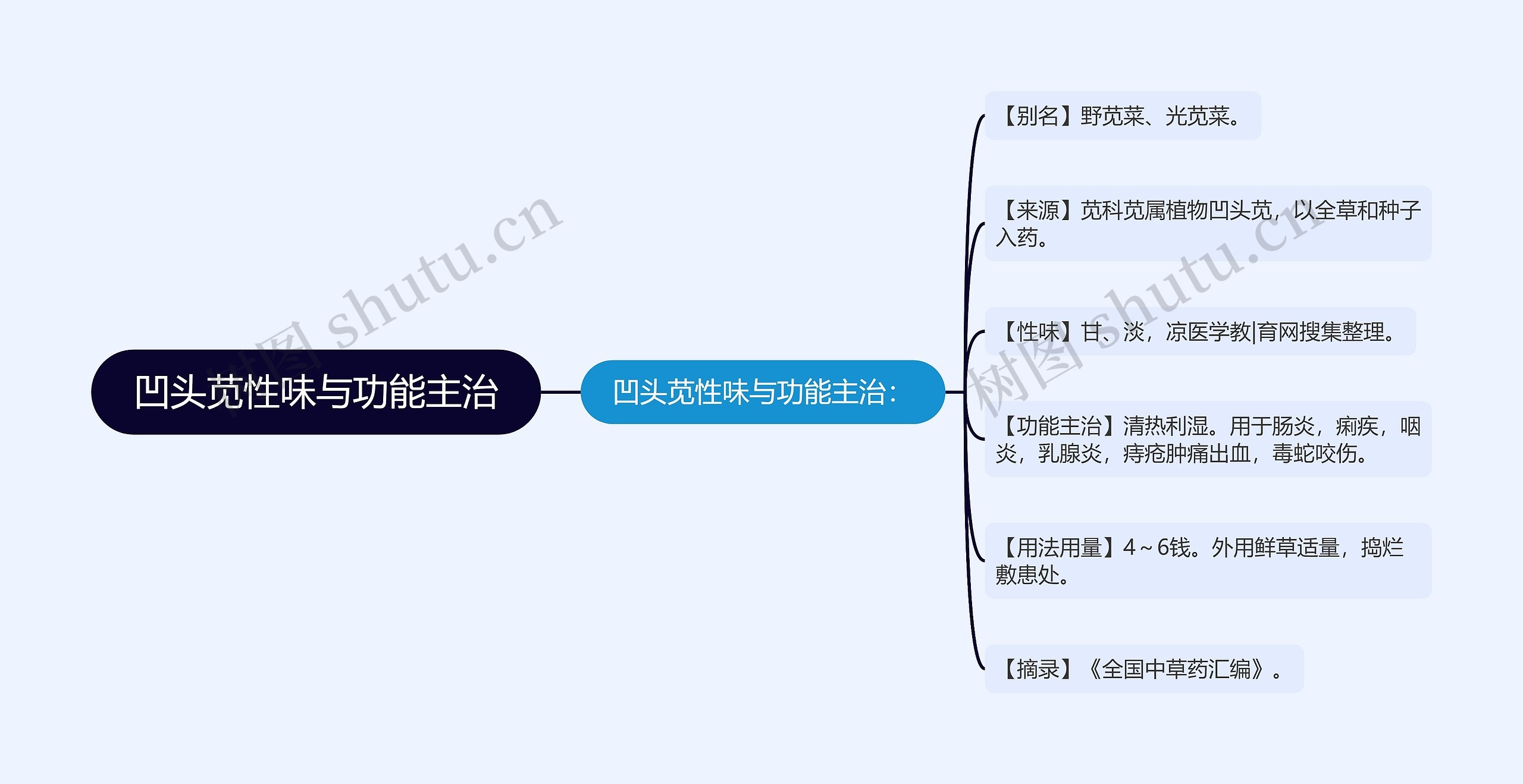 凹头苋性味与功能主治思维导图