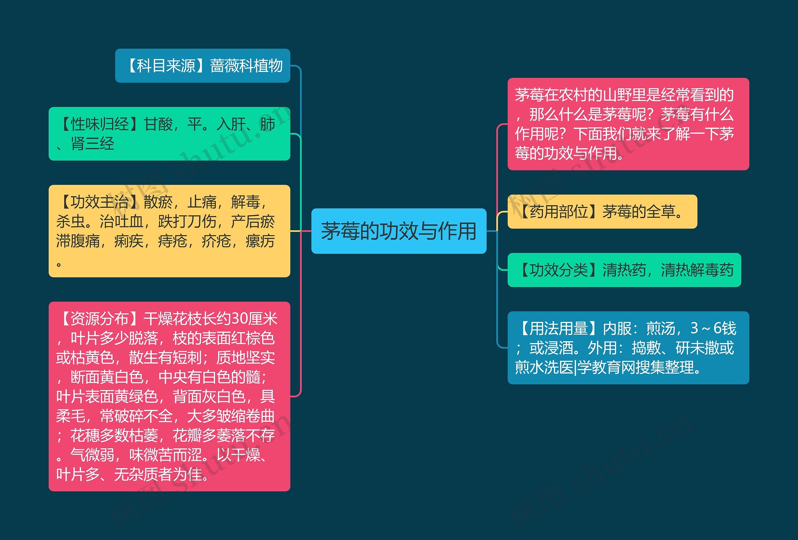 茅莓的功效与作用思维导图