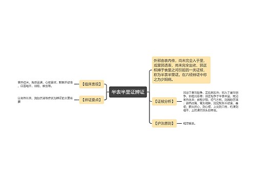 半表半里证辨证