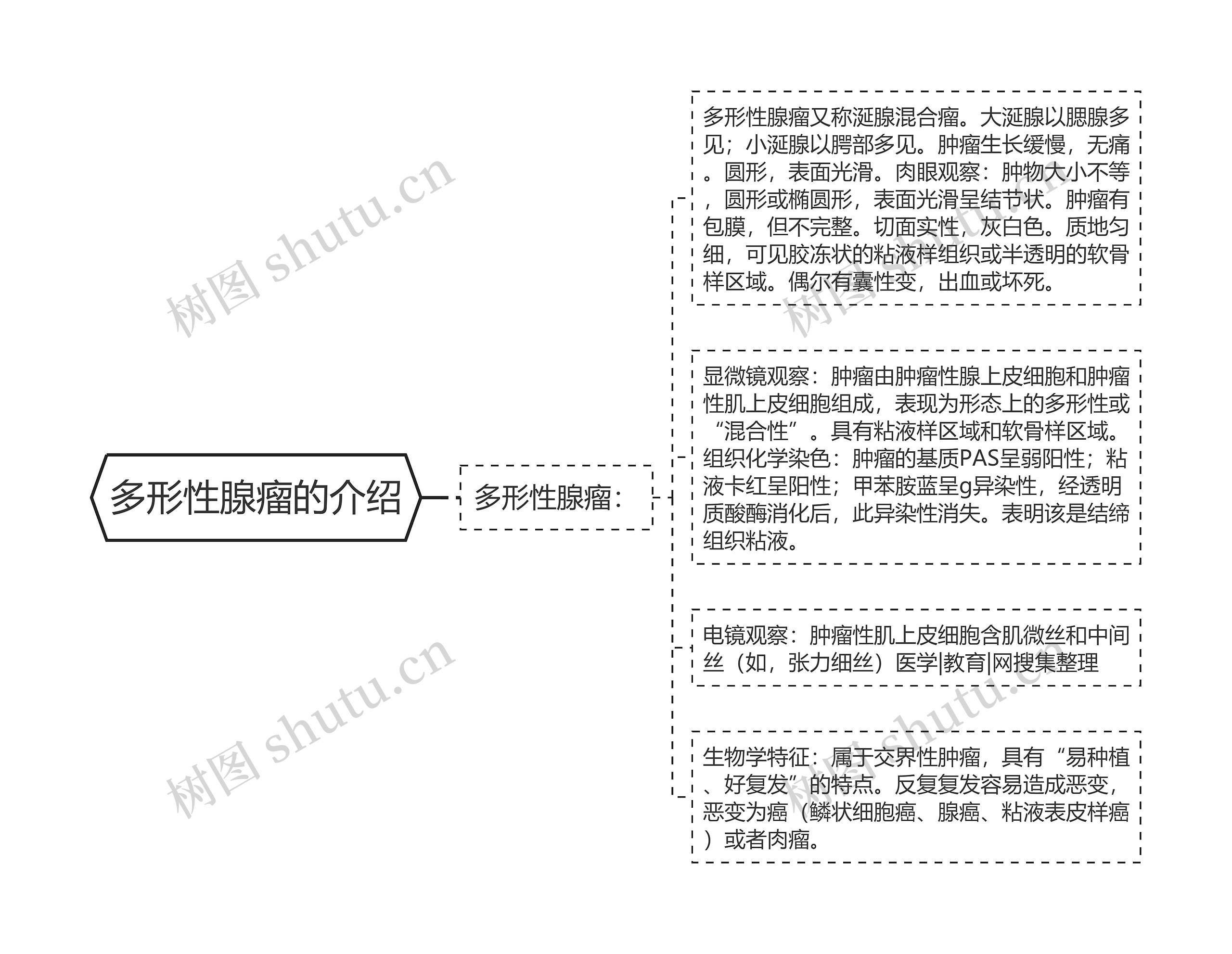 多形性腺瘤的介绍思维导图