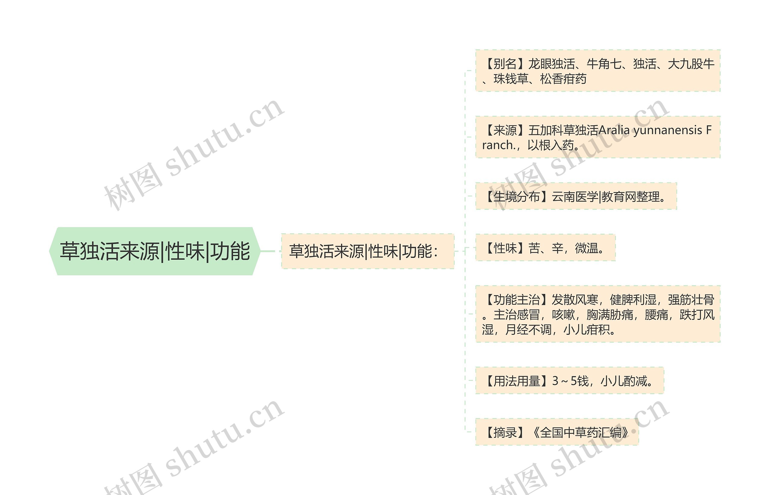 草独活来源|性味|功能思维导图