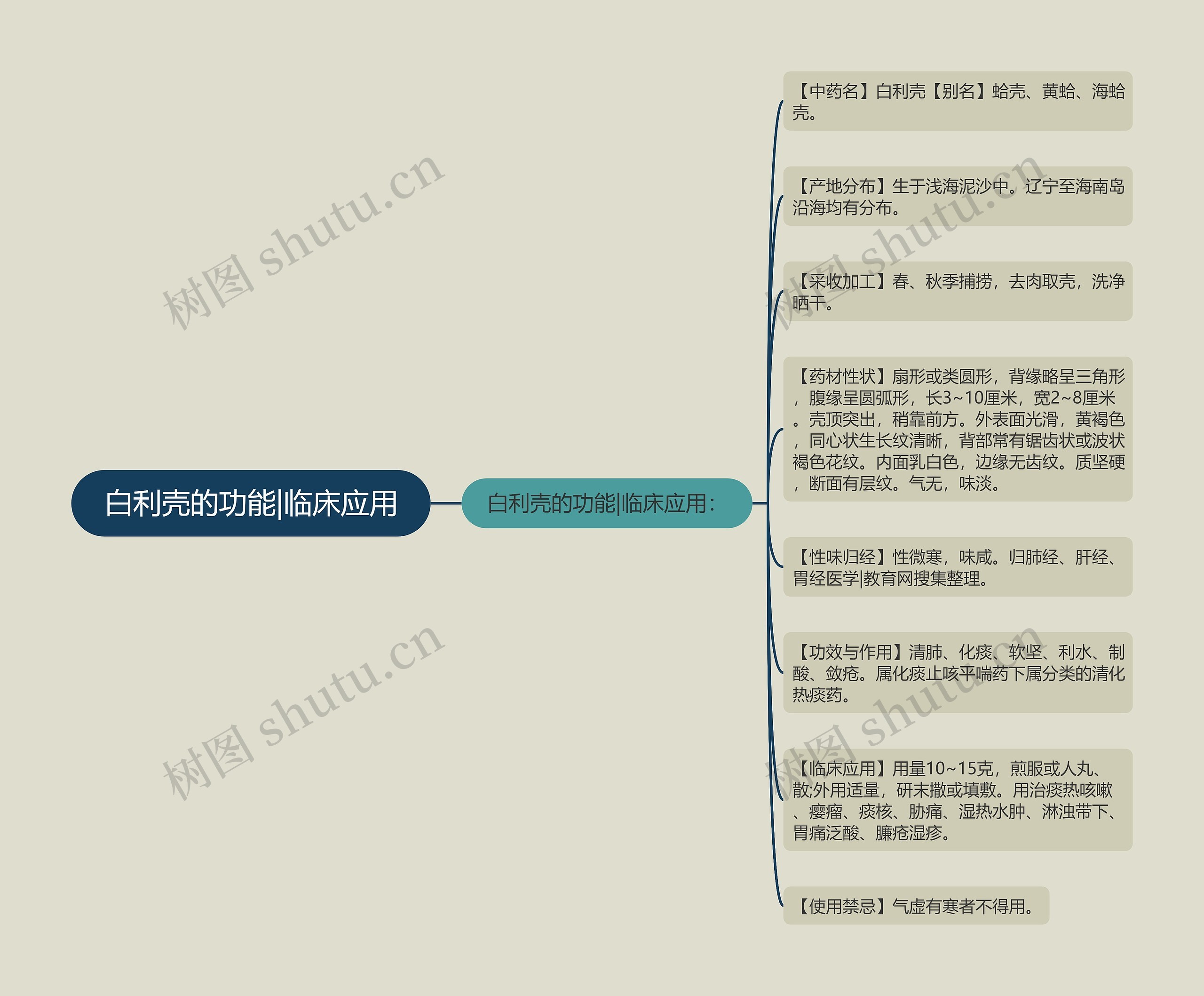 白利壳的功能|临床应用 白利壳的功能|临床应用