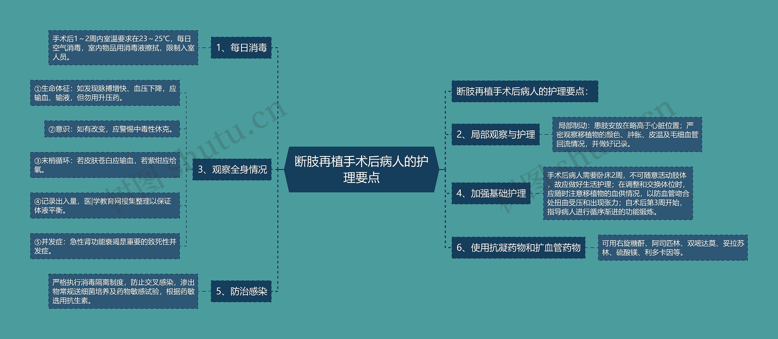 断肢再植手术后病人的护理要点