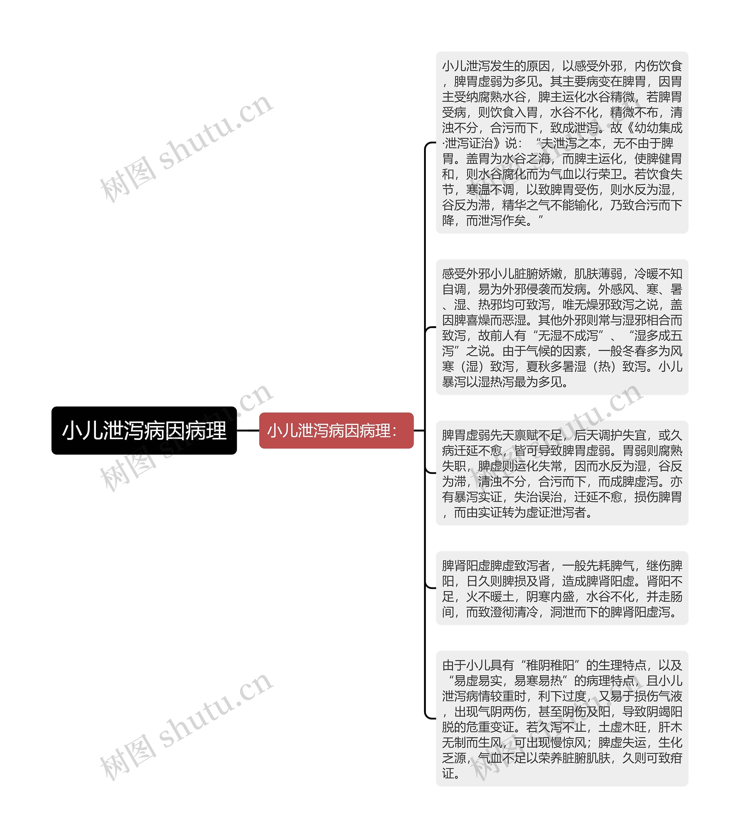 小儿泄泻病因病理