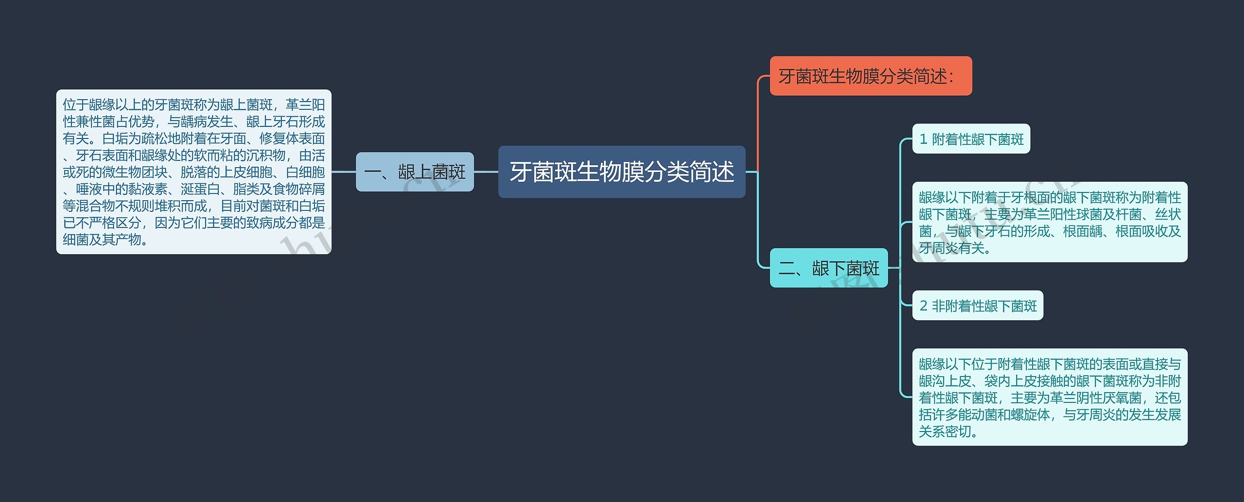 牙菌斑生物膜分类简述