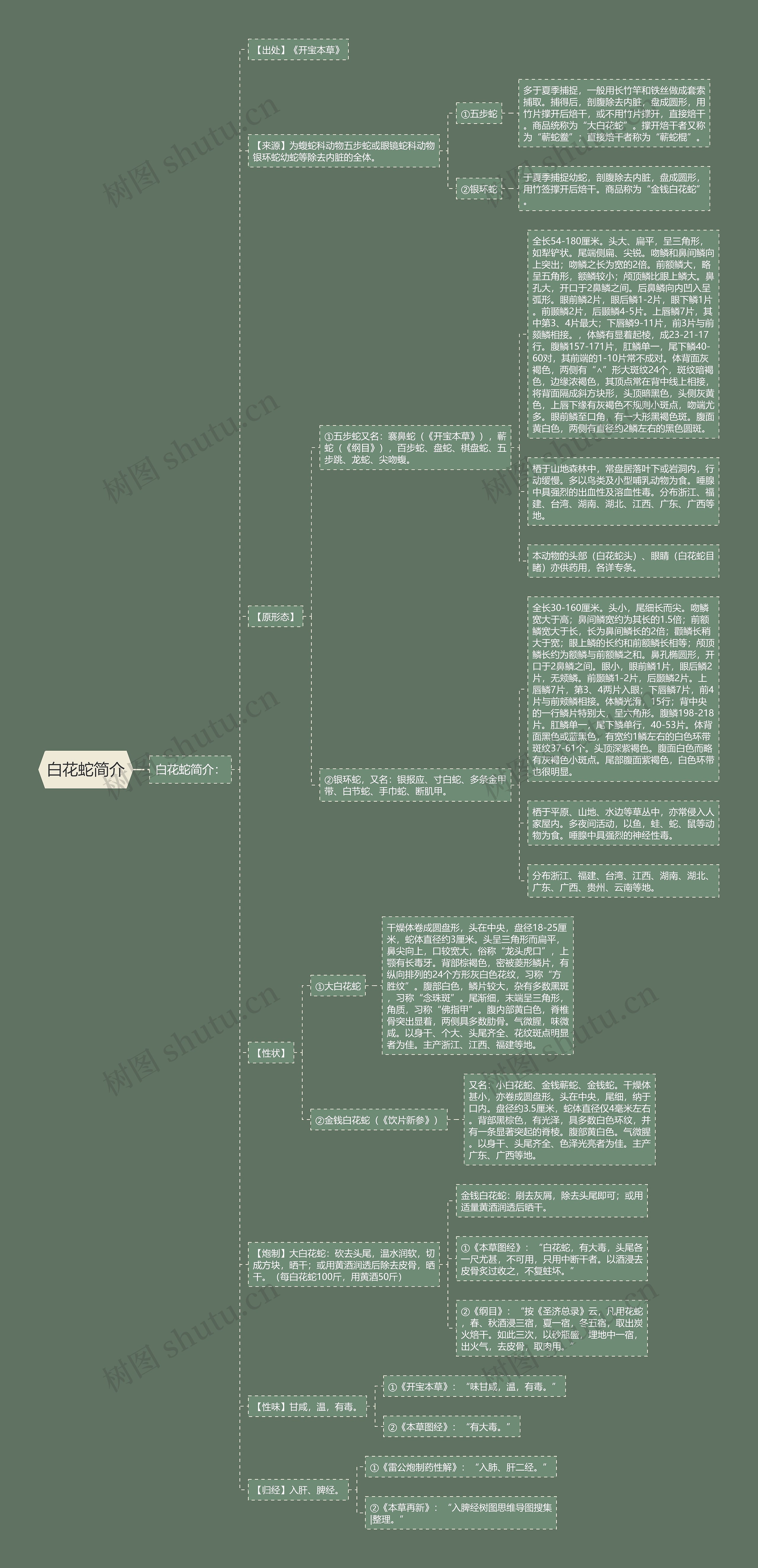 白花蛇简介思维导图