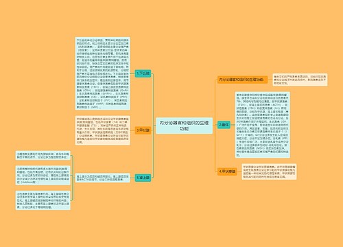 内分泌器官和组织的生理功能