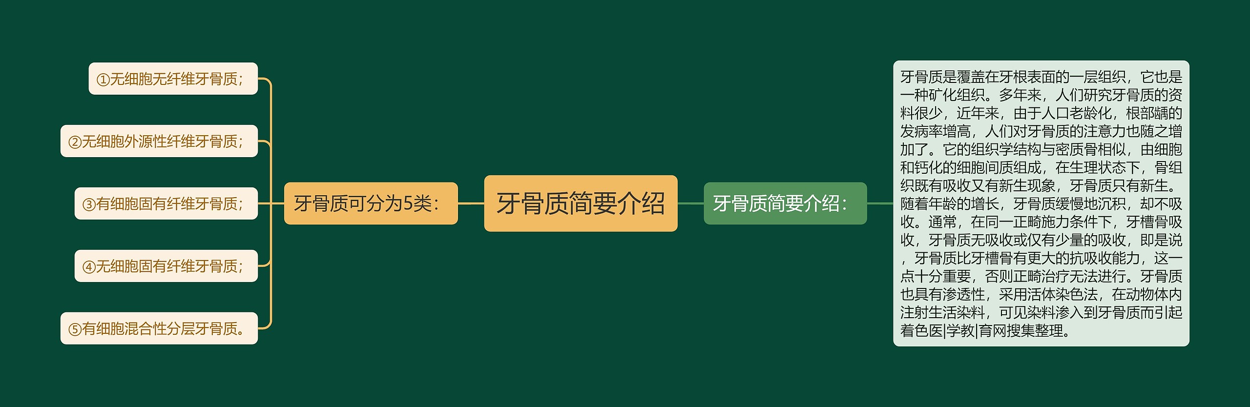 牙骨质简要介绍 牙骨质简要介绍
