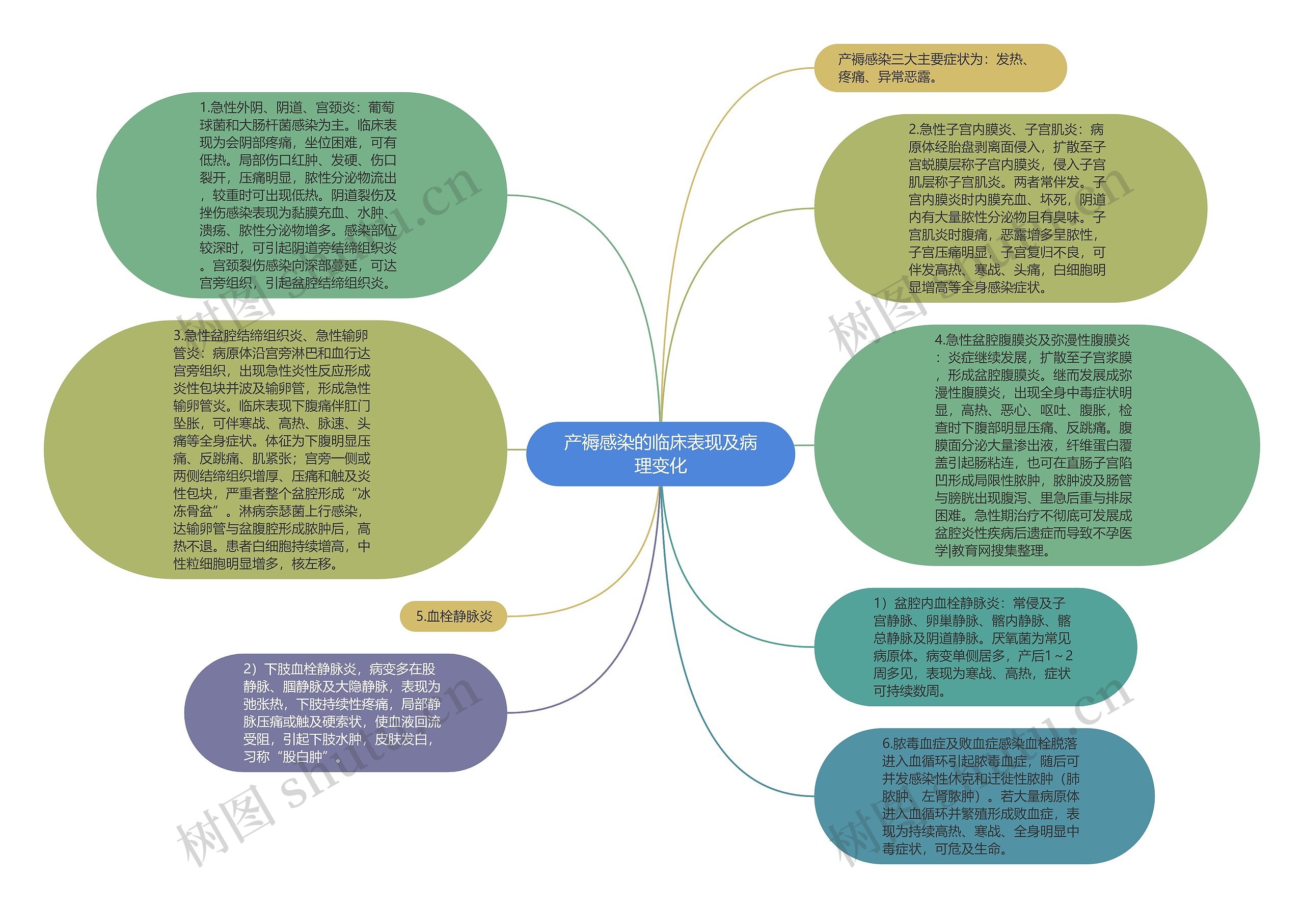 产褥感染的临床表现及病理变化思维导图