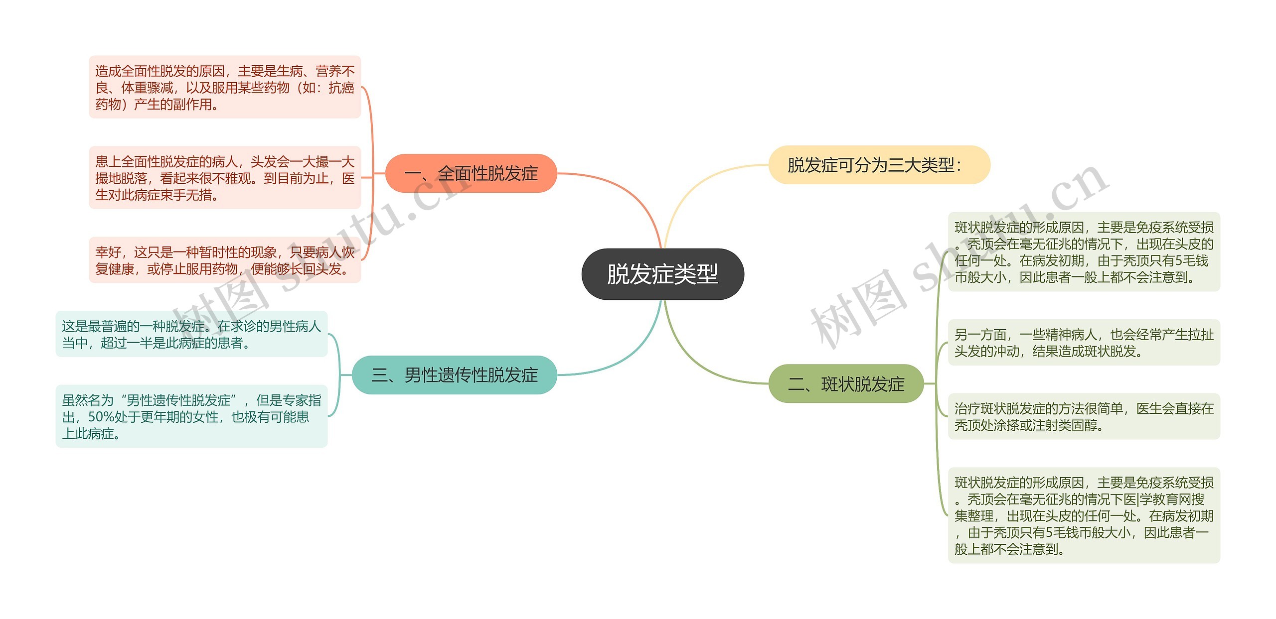 脱发症类型思维导图