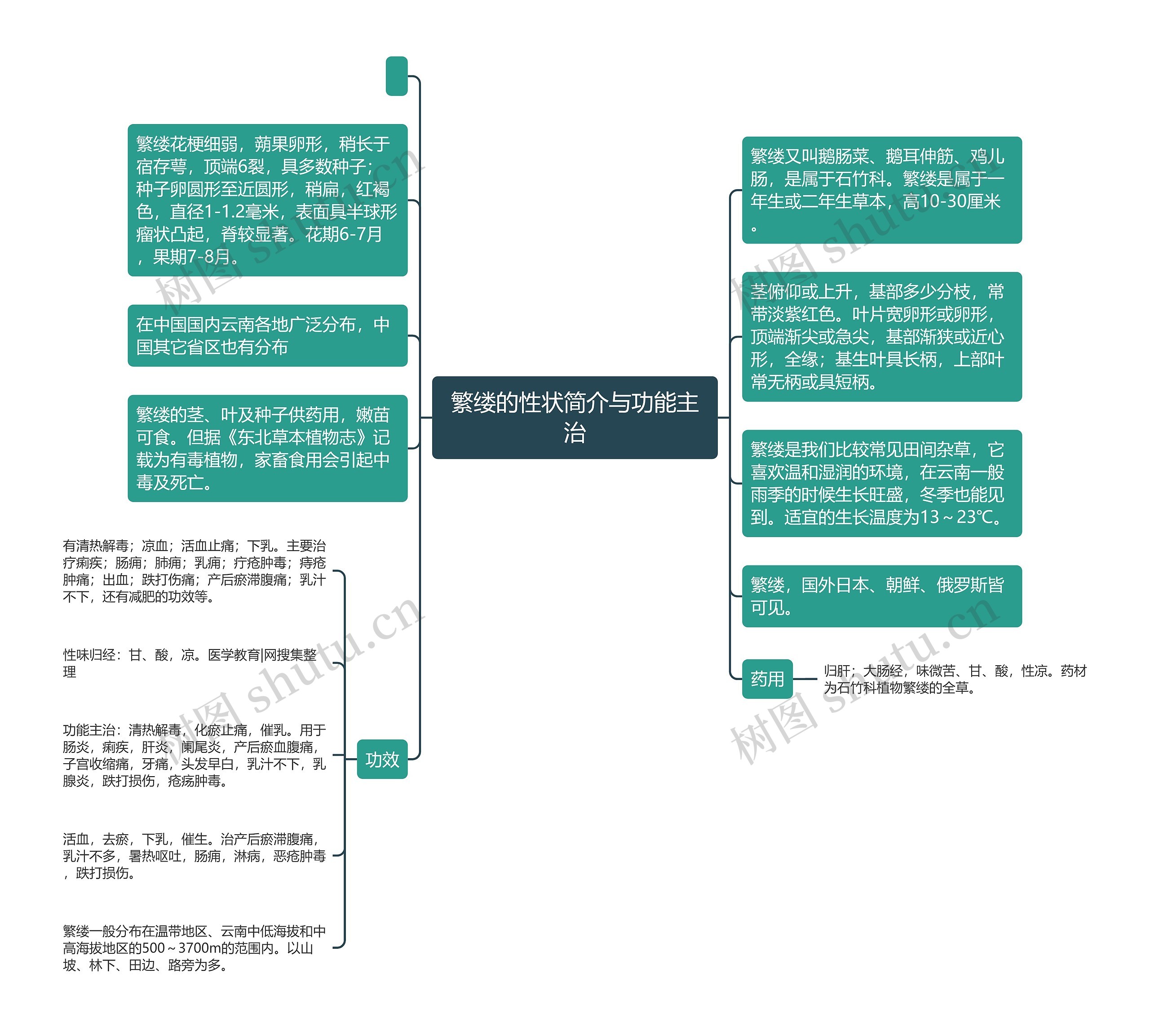 繁缕的性状简介与功能主治思维导图