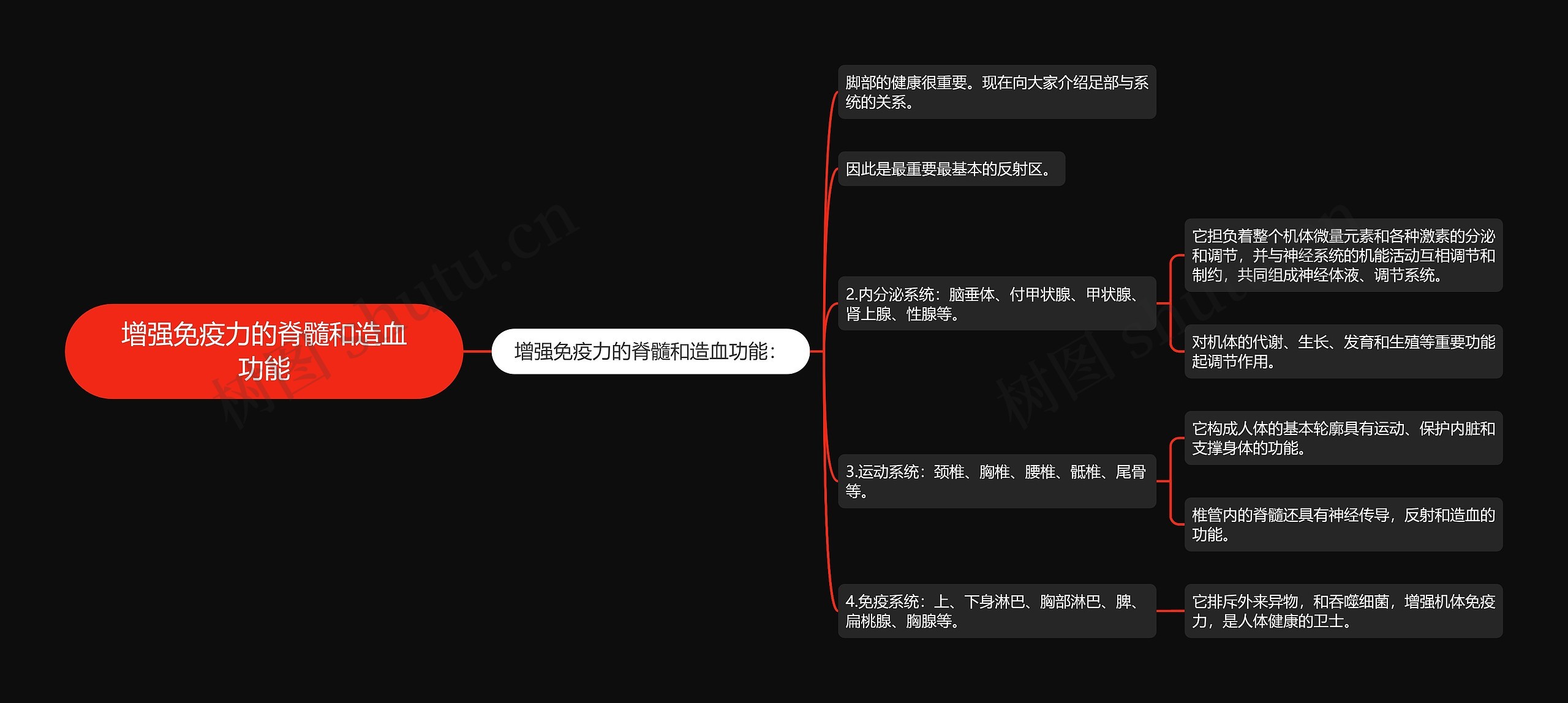 增强免疫力的脊髓和造血功能思维导图
