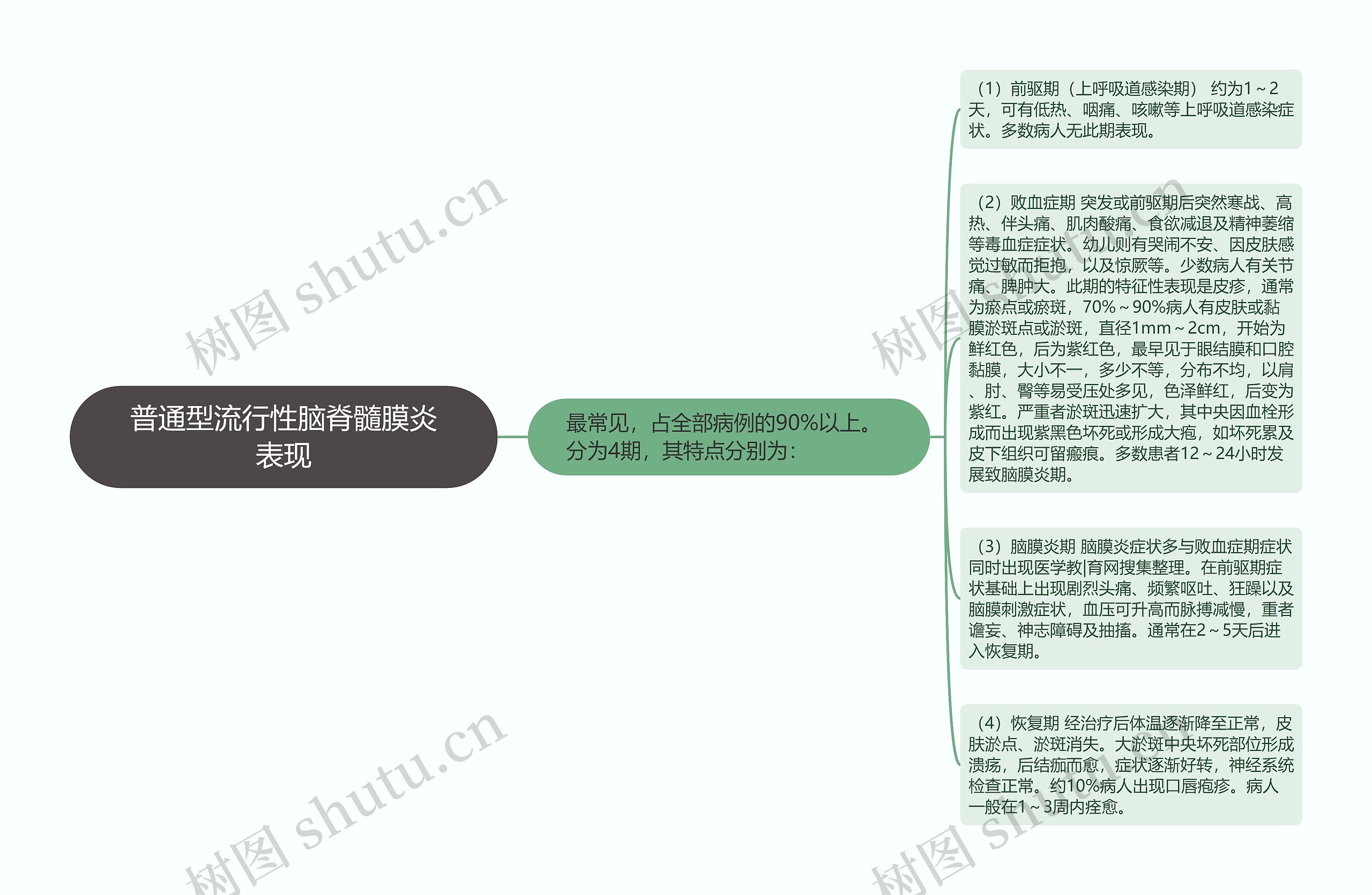 普通型流行性脑脊髓膜炎表现思维导图