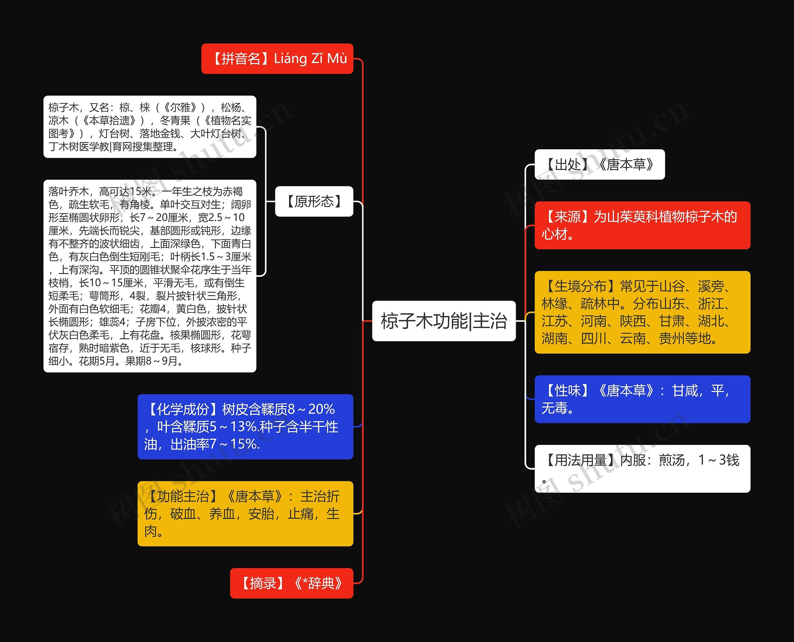 椋子木功能|主治思维导图