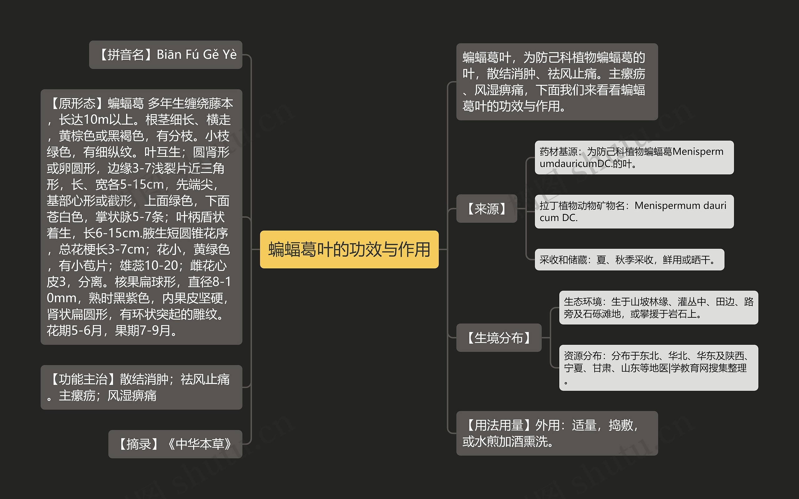 蝙蝠葛叶的功效与作用思维导图