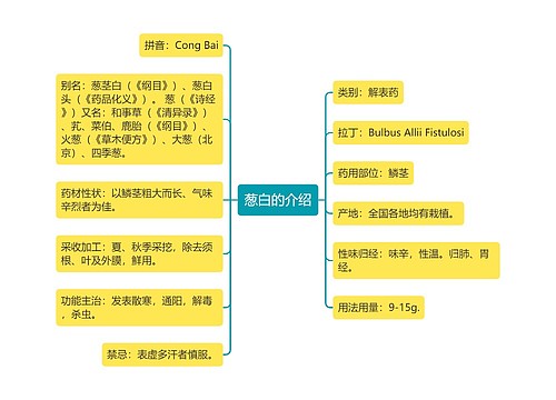 葱白的介绍