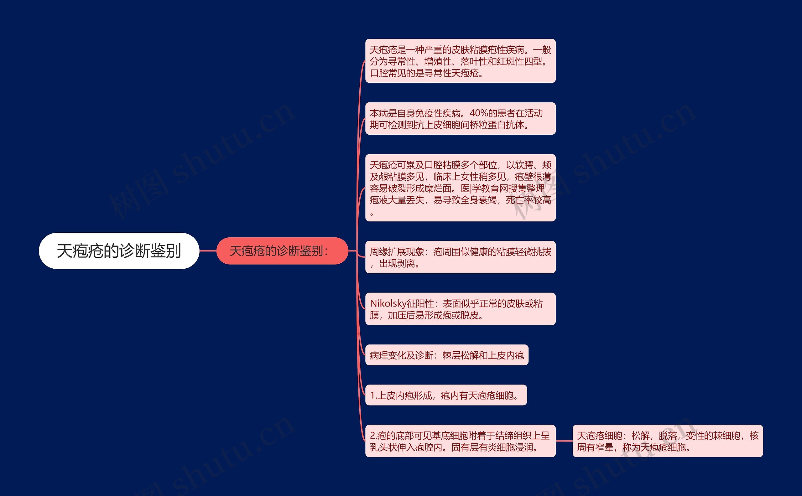 天疱疮的诊断鉴别思维导图