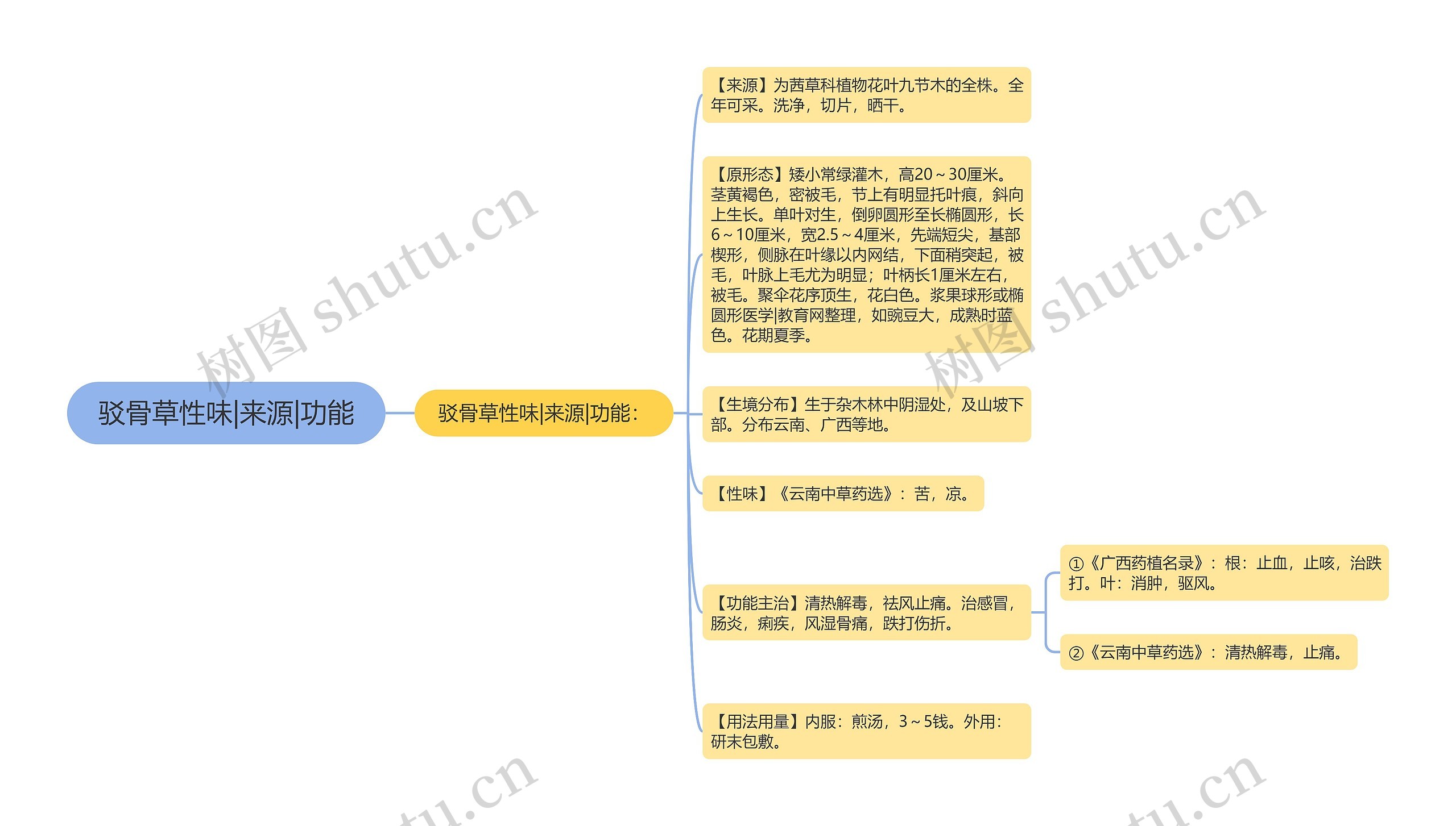 驳骨草性味|来源|功能思维导图