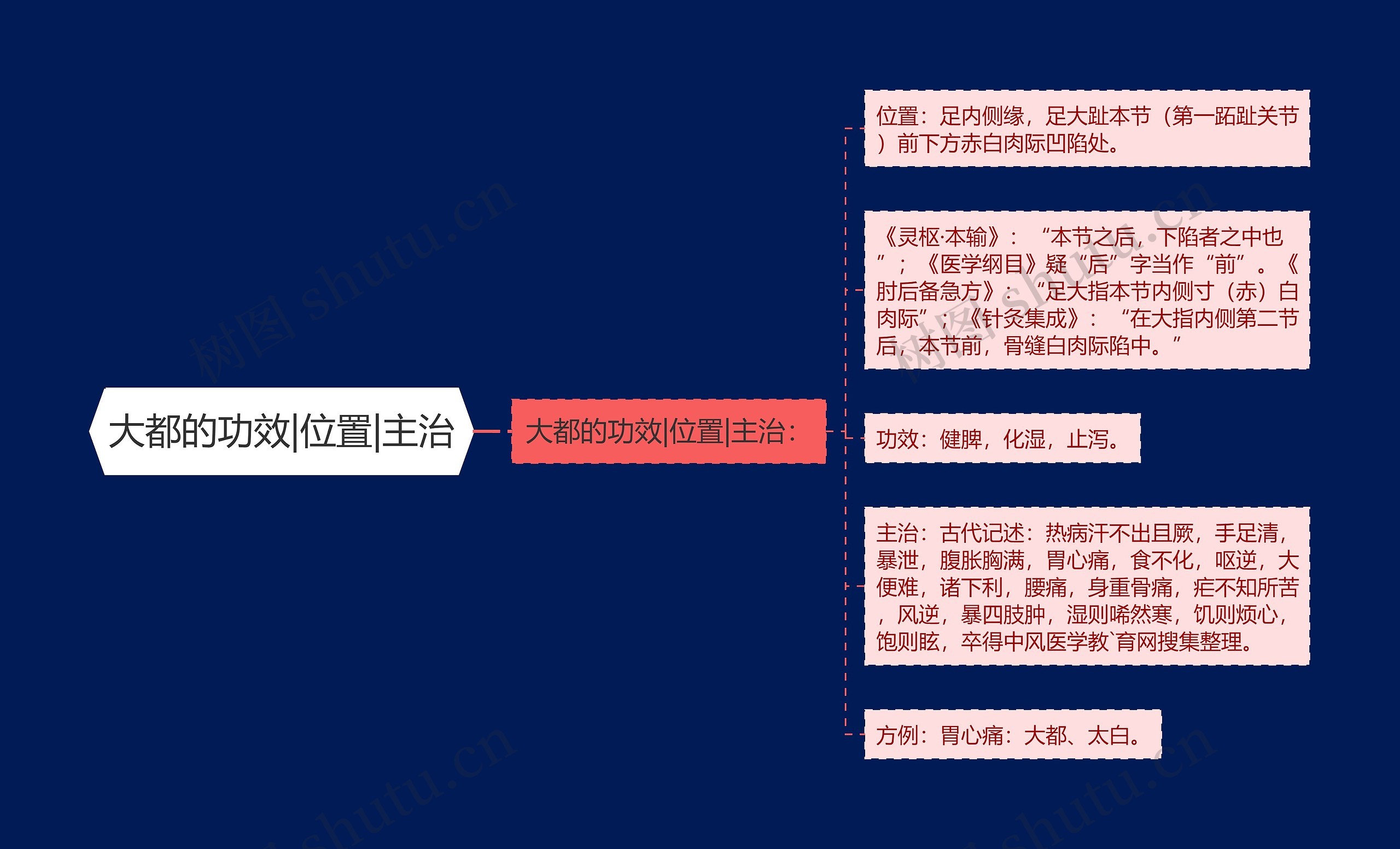 大都的功效|位置|主治思维导图